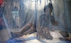 Angola vai distribuir mais de dez milhões de mosquiteiros a partir de maio