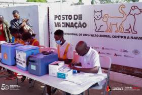 Angola vai começar a produzir vacinas para animais no próximo ano