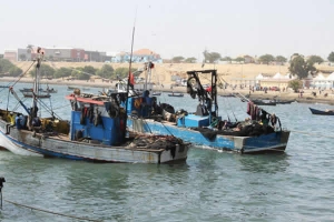 Apreendidas 16 embarcações de pesca em situação ilegal em águas angolanas