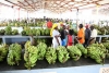 Exportações agrícolas angolanas aumentaram 120 vezes em três meses - INE