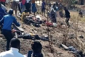 Camião desgovernado mata 12 pessoas e mais de 29 ficam gravemente feridas