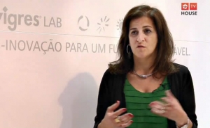 Angola nunca teve eleições livres, justas e transparentes - Paula Roque