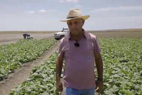 Morreu João Macedo, português e líder de um dos maiores projetos agroindustriais angolanos