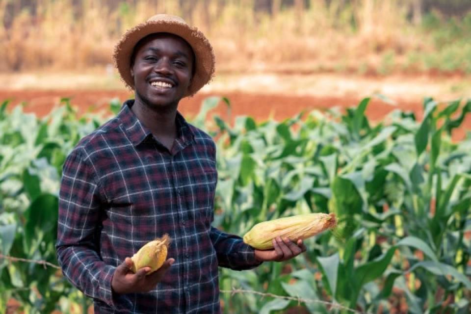 Angola e Banco Mundial assinam acordo para implementação do seguro agrícola no país