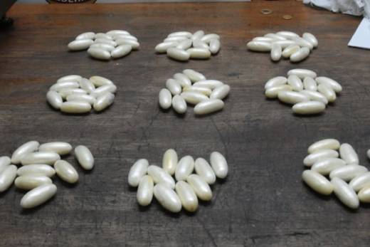 Duas cidadãs brasileiras detidas no Aeroporto 4 de Fevereiro com 154 cápsulas de cocaína no estômago