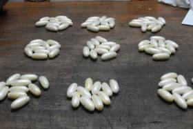 Duas cidadãs brasileiras detidas no Aeroporto 4 de Fevereiro com 154 cápsulas de cocaína no estômago