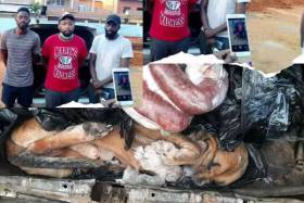 Polícia detém em Luanda homem com 15 cães congelados na mala do carro