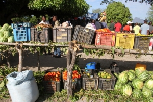 Governo angolano prevê autossuficiência alimentar aumentando verbas na Agricultura