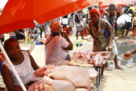 Angola gasta por ano cerca de 250 milhões de dólares para importar frangos - governo