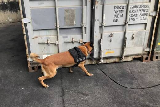 Mais de 45 quilos de cocaína apreendida no Porto de Luanda