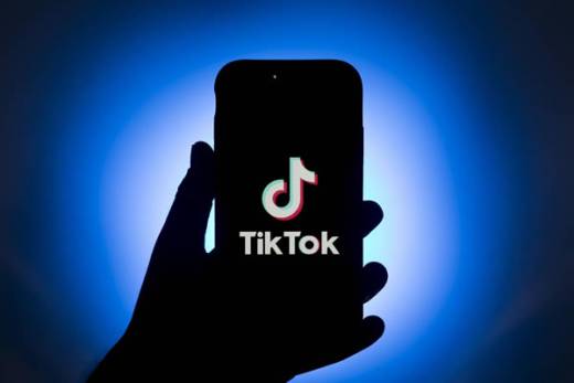 Vídeo no Tik Tok leva jovem angolano à prisão por difamar o Presidente