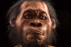 Cientistas descobrem os fósseis mais antigos da espécie humana