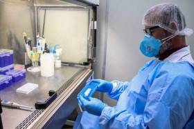 Cientistas sul-africanos encontram variante “mais transmissível” da covid-19 em Angola