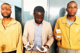 Advogado detido por introduzir cannabis na Penitenciária