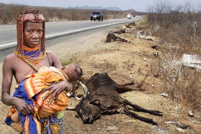 Metade das crianças no sul de Angola sofre desnutrição crónica - estudo