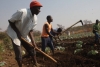 França financia agricultura angolana com 79 milhões de euros