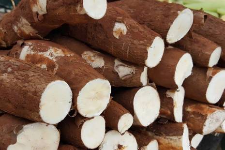 Ministério da Saúde alerta para consumo de mandioca e batata doce depois de mortes